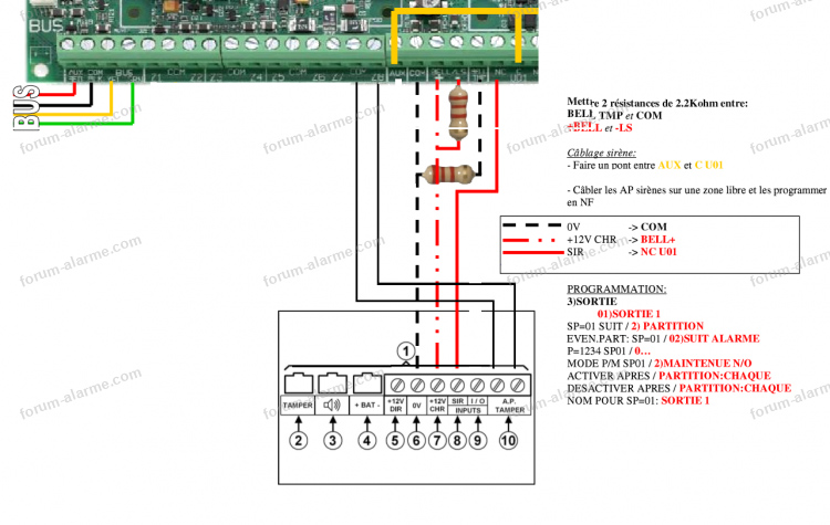 Comment câbler une sirène sur une alarme filaire ?